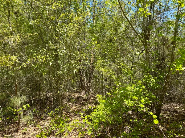 $915,000 | 3021 Salley Road, Salley, SC 29137