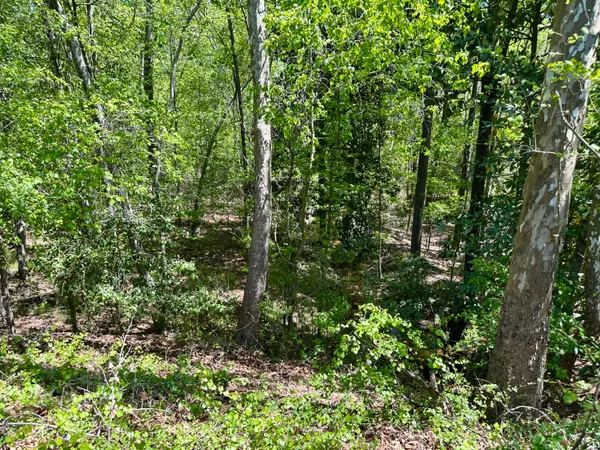 $915,000 | 3021 Salley Road, Salley, SC 29137