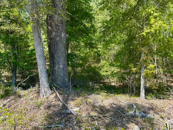 $915,000 | 3021 Salley Road, Salley, SC 29137