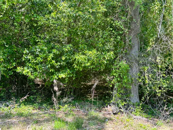 $915,000 | 3021 Salley Road, Salley, SC 29137