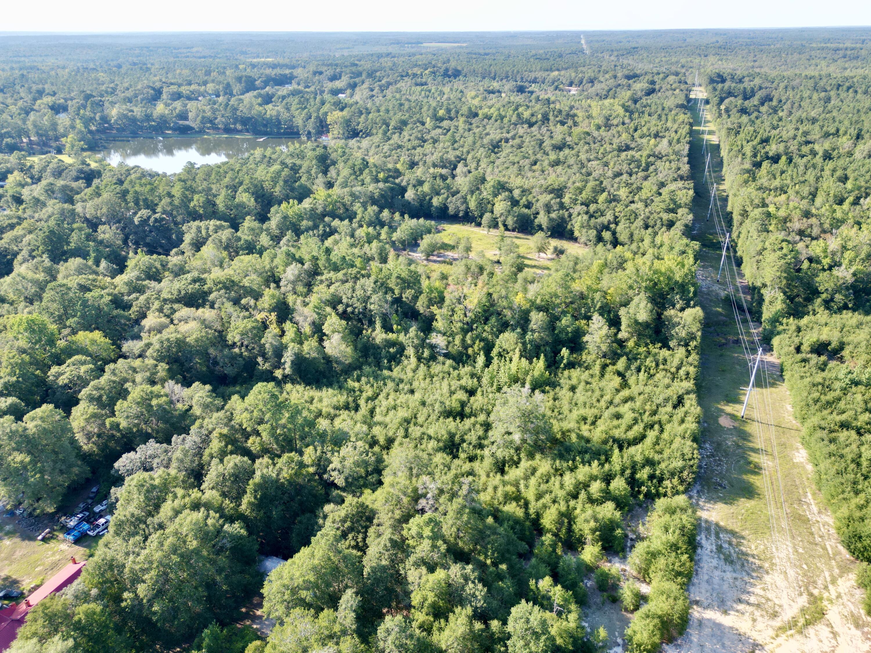 3021 Salley Road Salley, SC 29137 - Photo 66 of 100 76