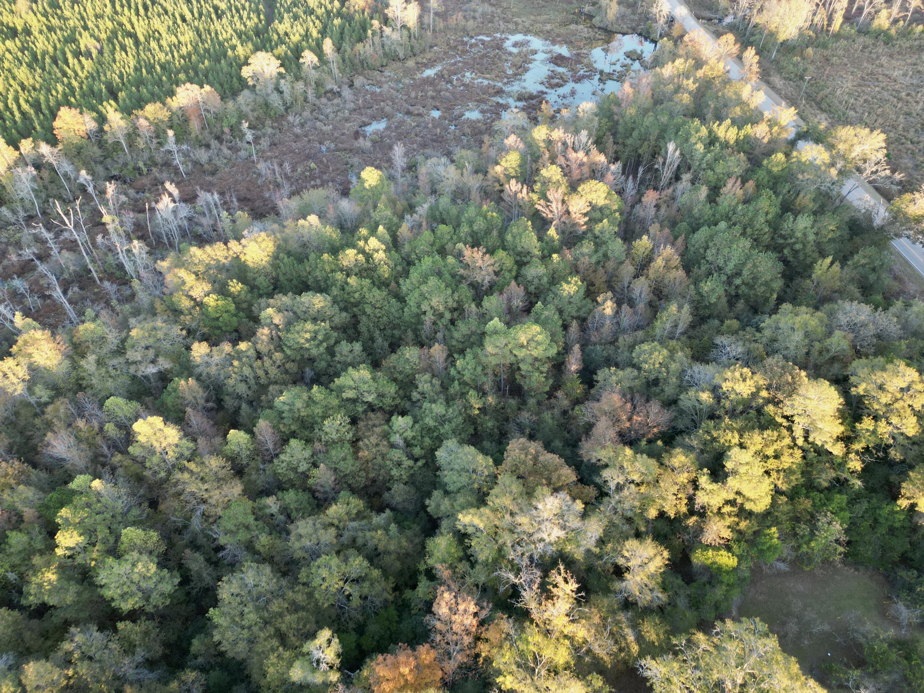 3021 Salley Road Salley, SC 29137 - Photo 71 of 100 dji_fly_20251103_172140_383_176226051143