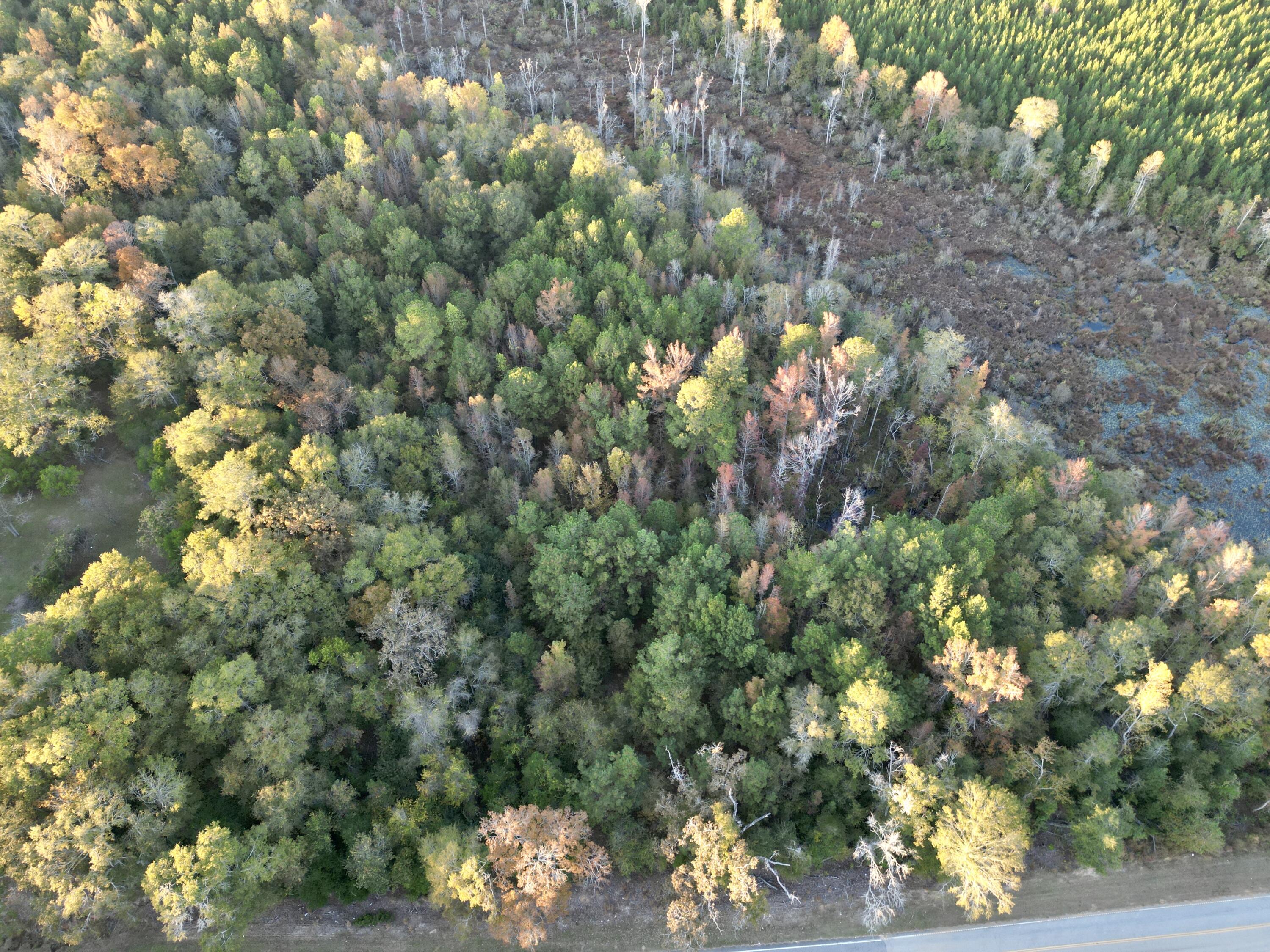 3021 Salley Road Salley, SC 29137 - Photo 72 of 100 dji_fly_20251103_172244_384_176226051719