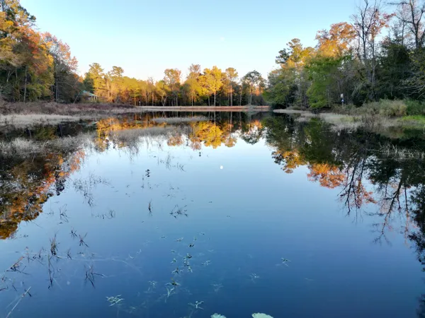 $915,000 | 3021 Salley Road, Salley, SC 29137