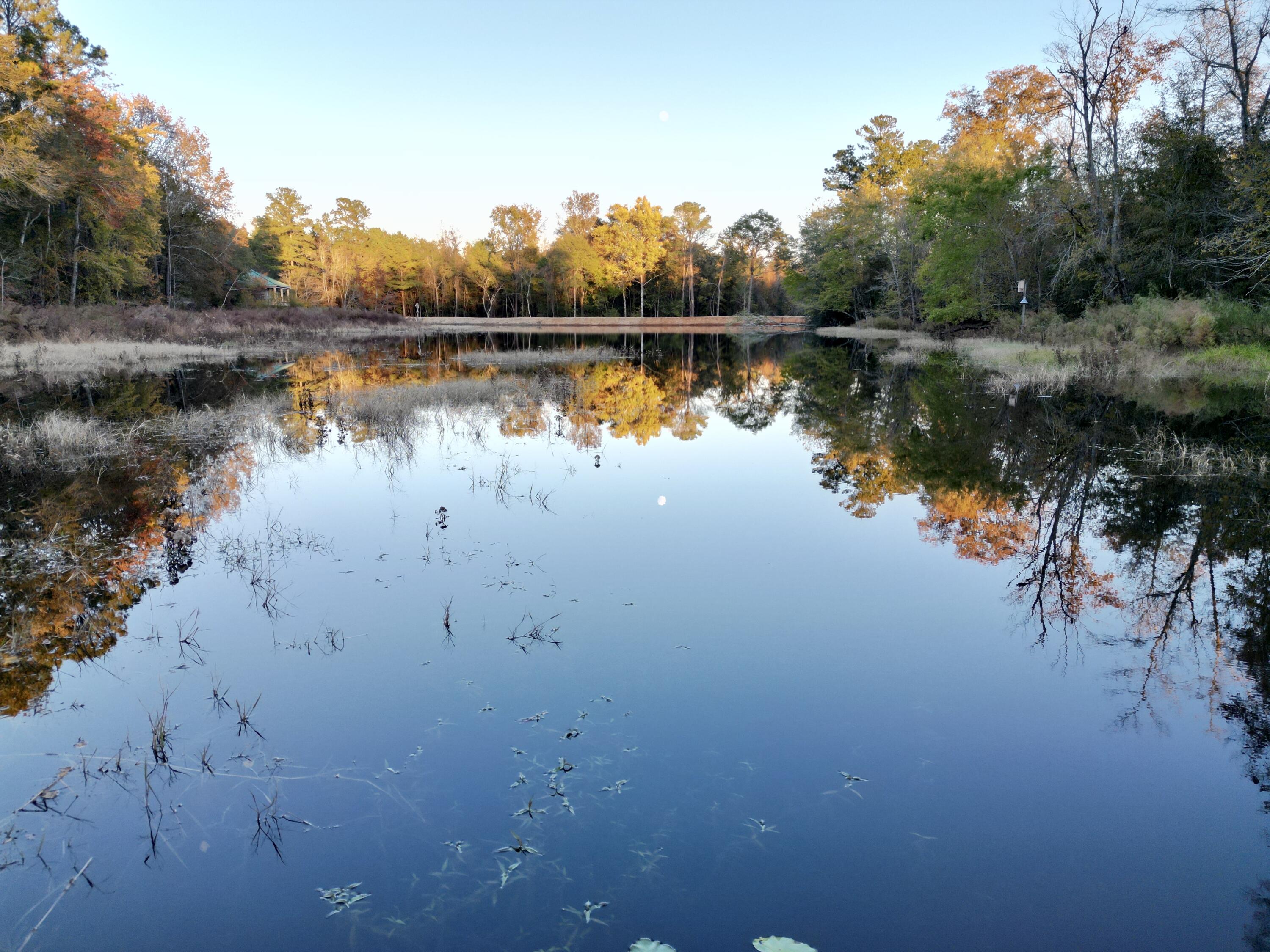 3021 Salley Road Salley, SC 29137 - Photo 73 of 100 dji_fly_20251103_172730_393_176226053853