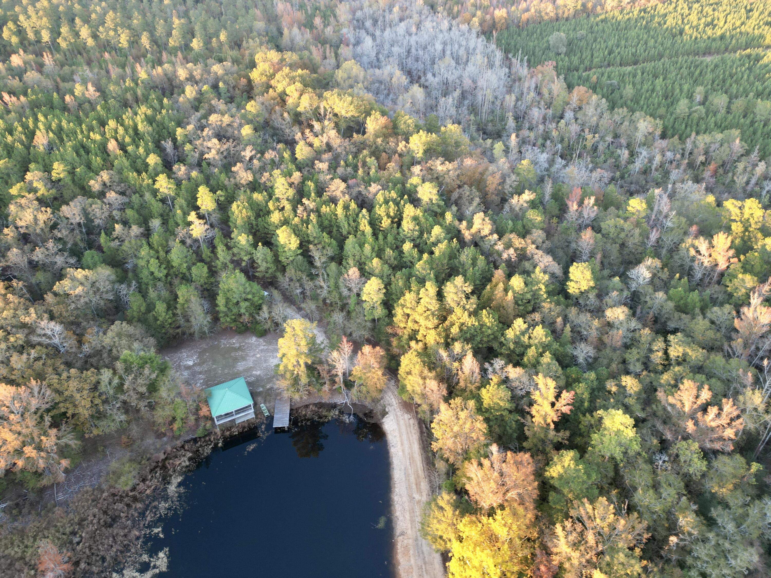 3021 Salley Road Salley, SC 29137 - Photo 75 of 100 dji_fly_20251103_173034_400_176226055494