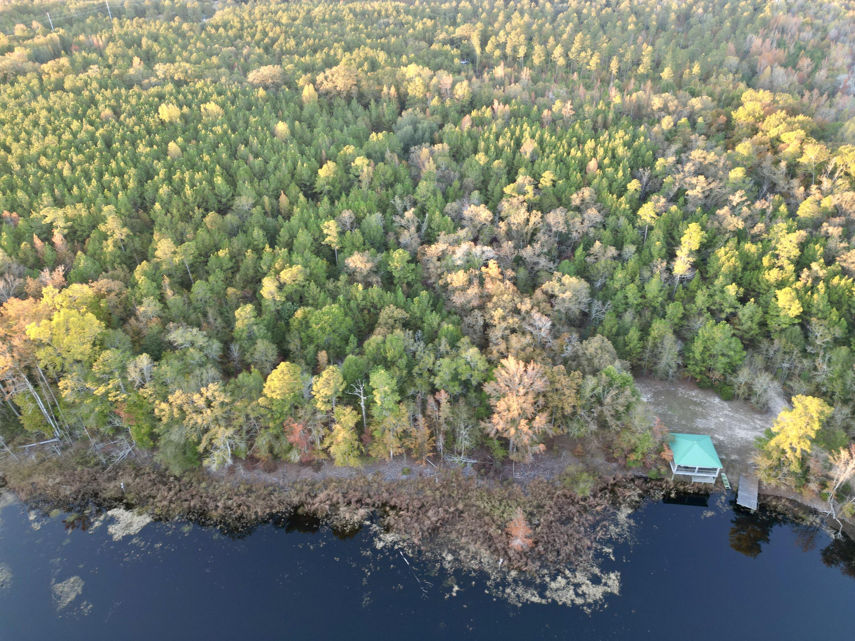 3021 Salley Road Salley, SC 29137 - Photo 76 of 100 dji_fly_20251103_173046_401_176226055736