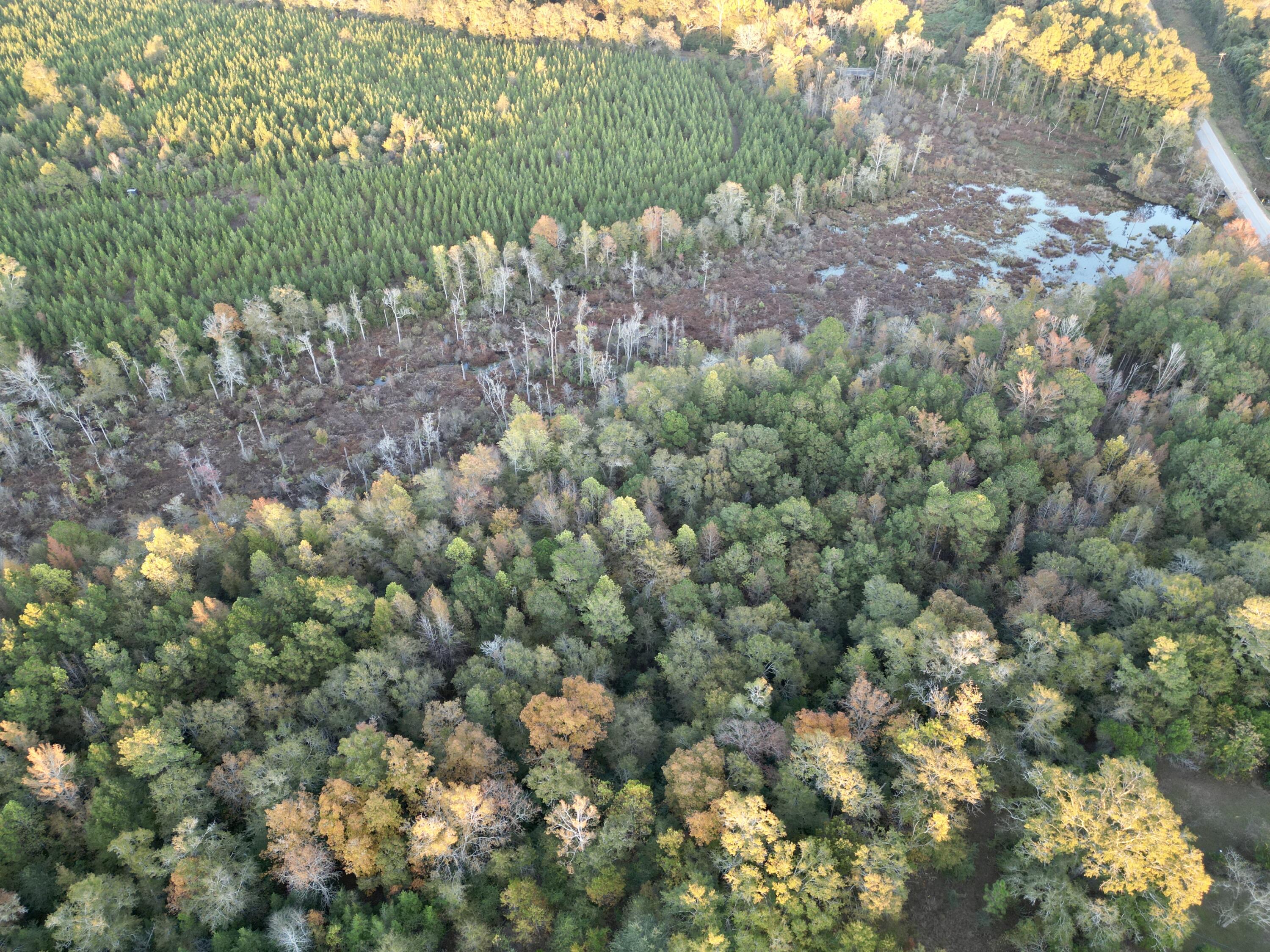 3021 Salley Road Salley, SC 29137 - Photo 80 of 100 dji_fly_20251103_173418_408_176226057975