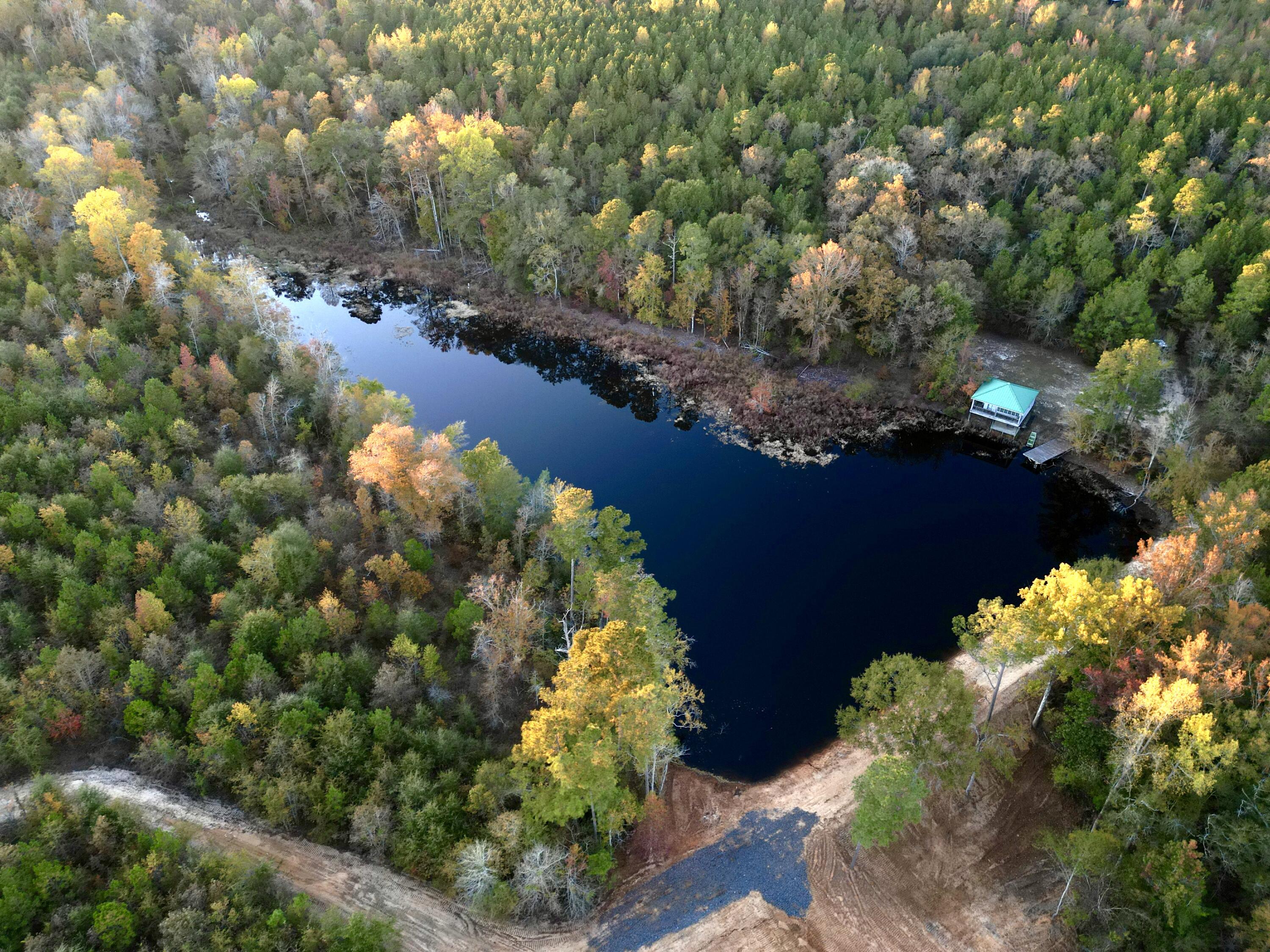 3021 Salley Road Salley, SC 29137 - Photo 83 of 100 dji_fly_20251103_173530_411_176226058660