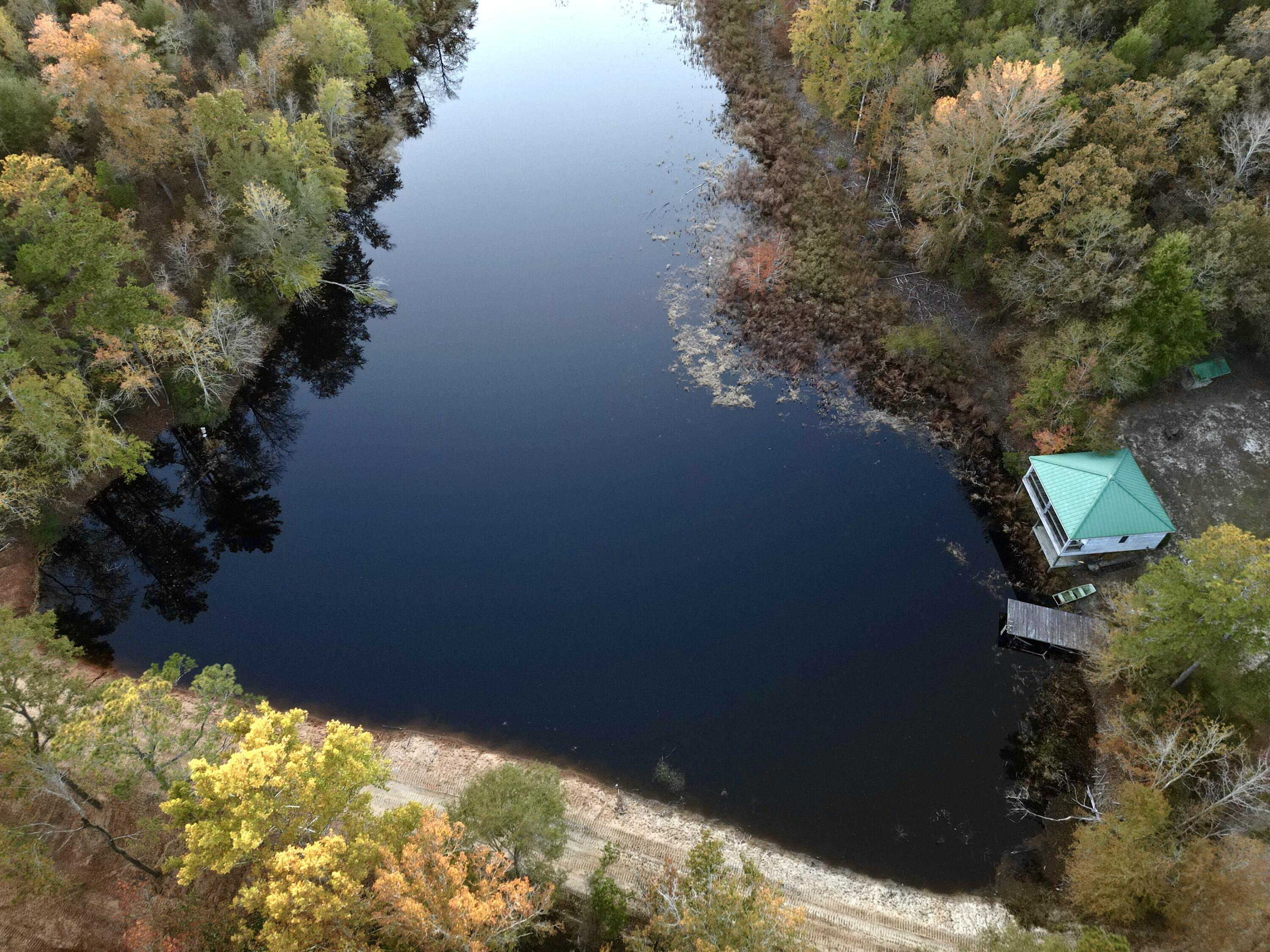 3021 Salley Road Salley, SC 29137 - Photo 84 of 100 dji_fly_20251103_173620_413_176226059026