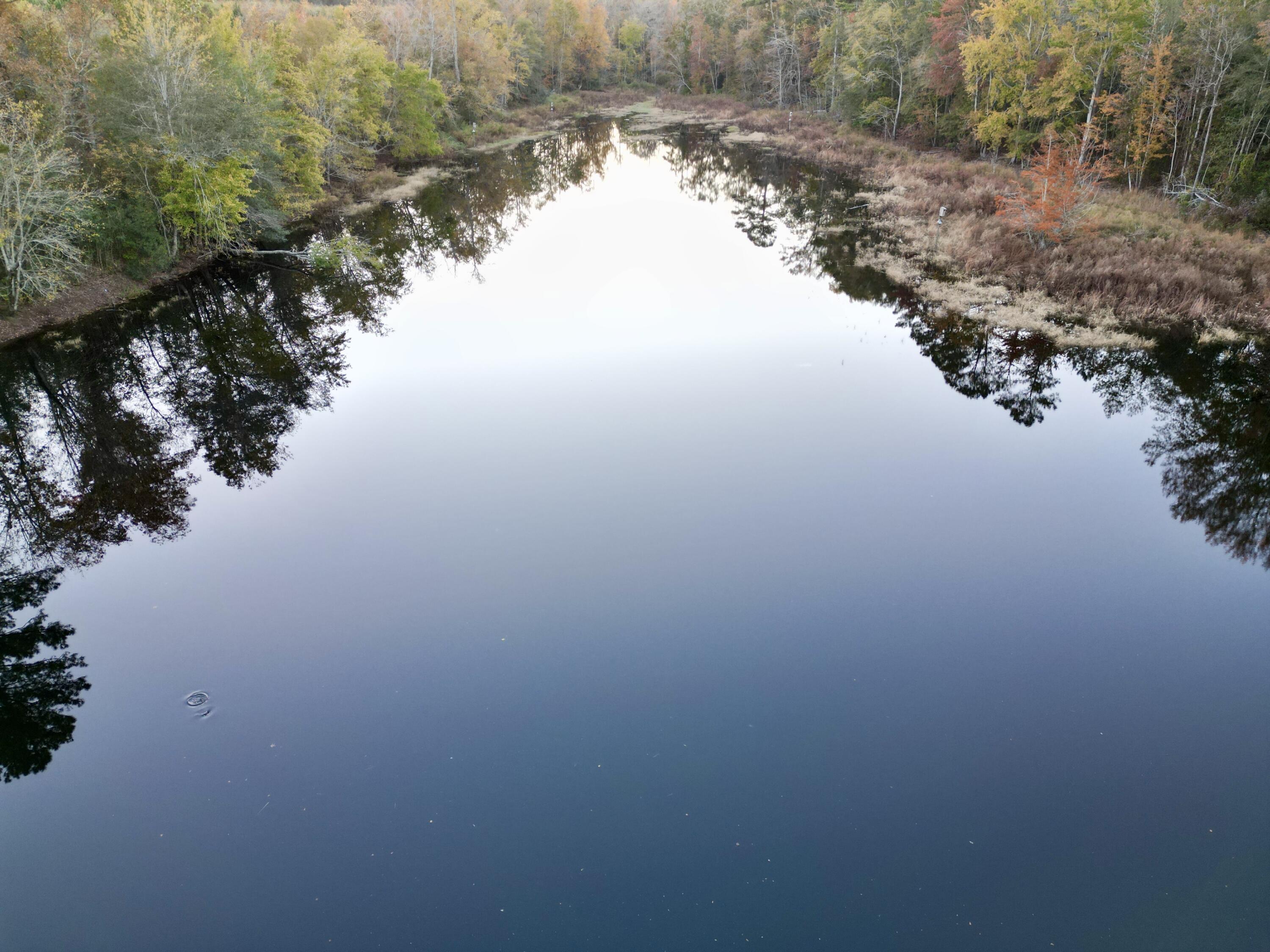 3021 Salley Road Salley, SC 29137 - Photo 85 of 100 dji_fly_20251103_173722_414_176226059264