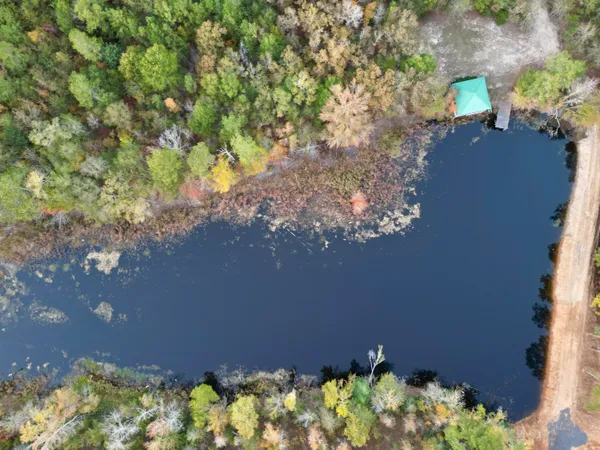 $915,000 | 3021 Salley Road, Salley, SC 29137