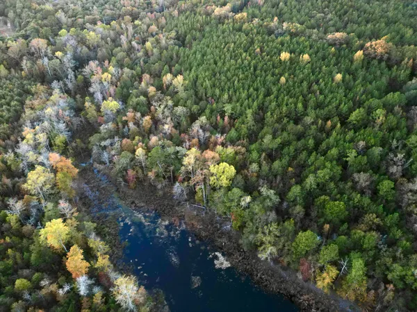 $915,000 | 3021 Salley Road, Salley, SC 29137