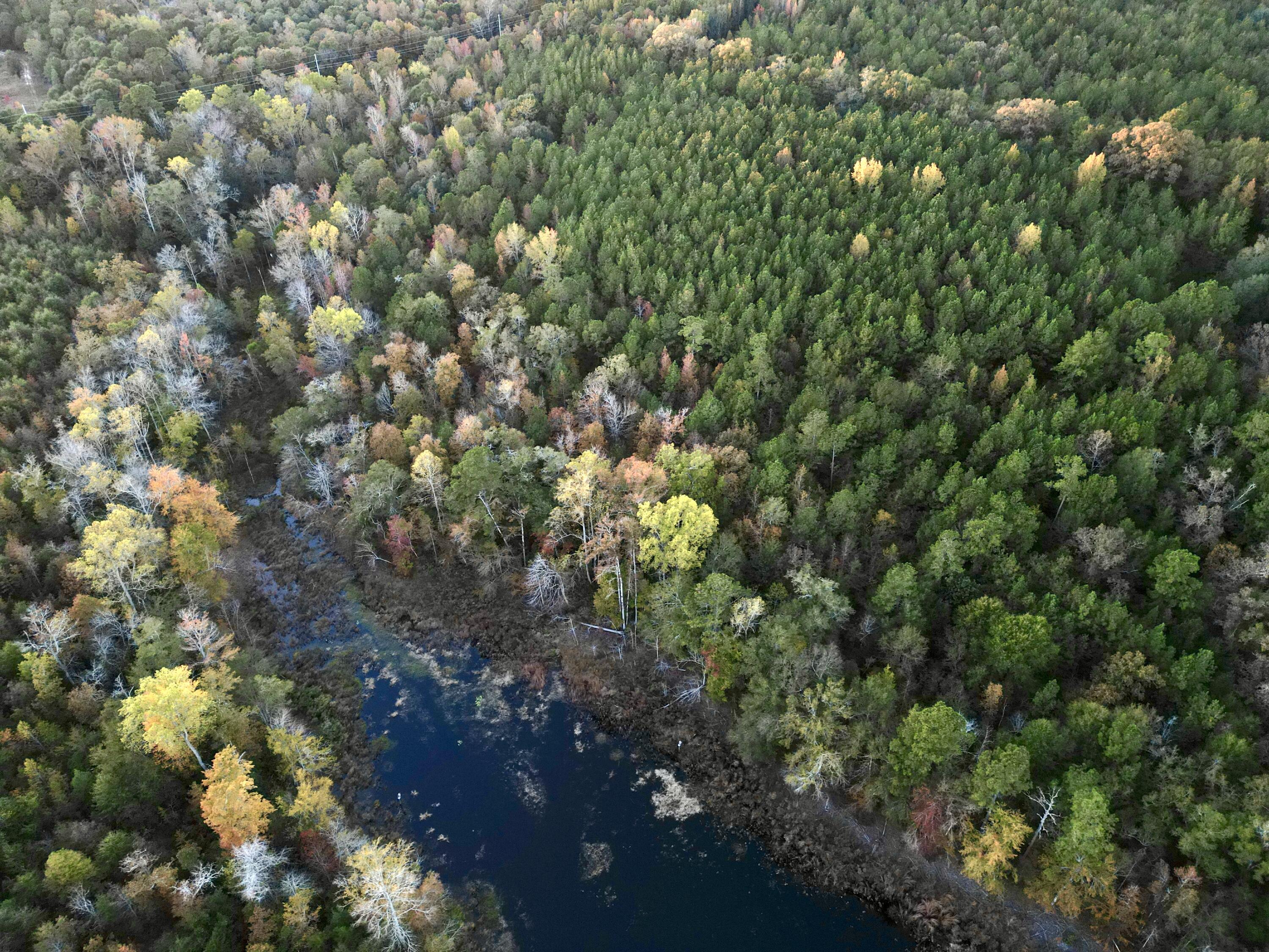 3021 Salley Road Salley, SC 29137 - Photo 87 of 100 dji_fly_20251103_174030_419_176226060452