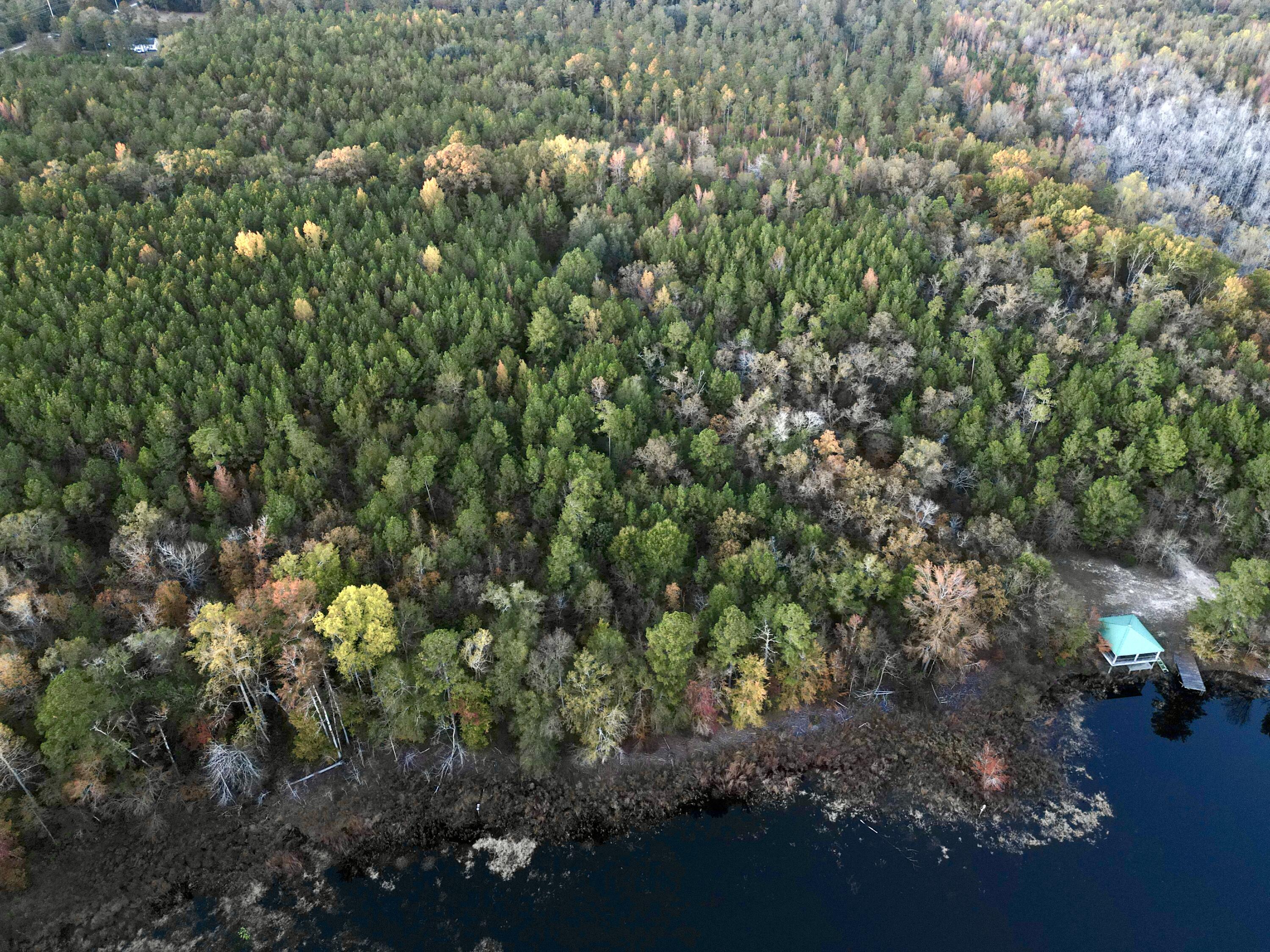 3021 Salley Road Salley, SC 29137 - Photo 88 of 100 dji_fly_20251103_174034_421_176226060861