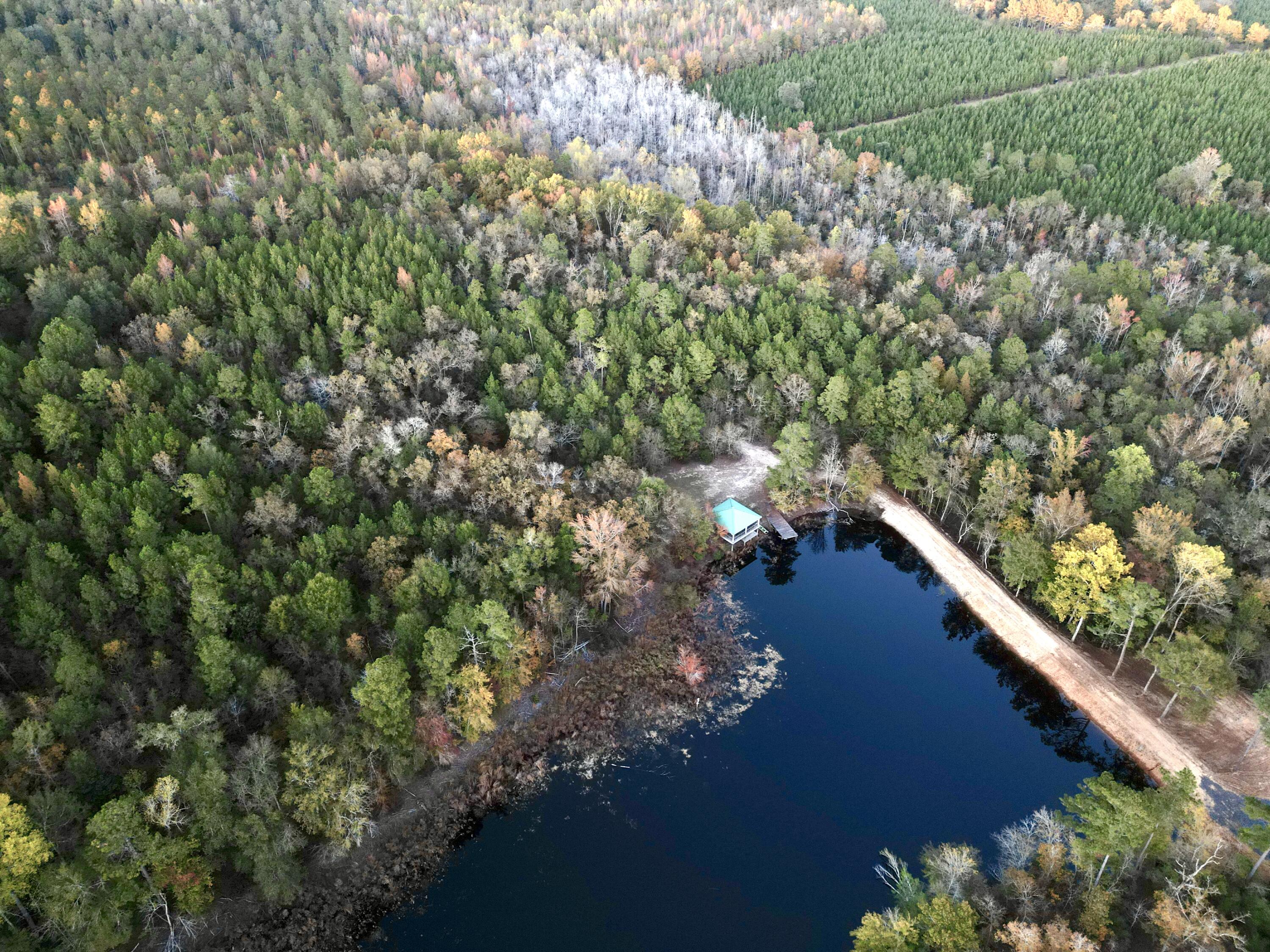 3021 Salley Road Salley, SC 29137 - Photo 89 of 100 dji_fly_20251103_174036_422_176226061021