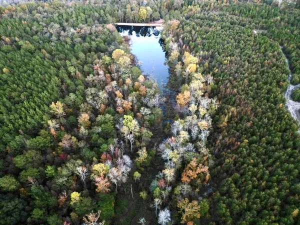 $915,000 | 3021 Salley Road, Salley, SC 29137