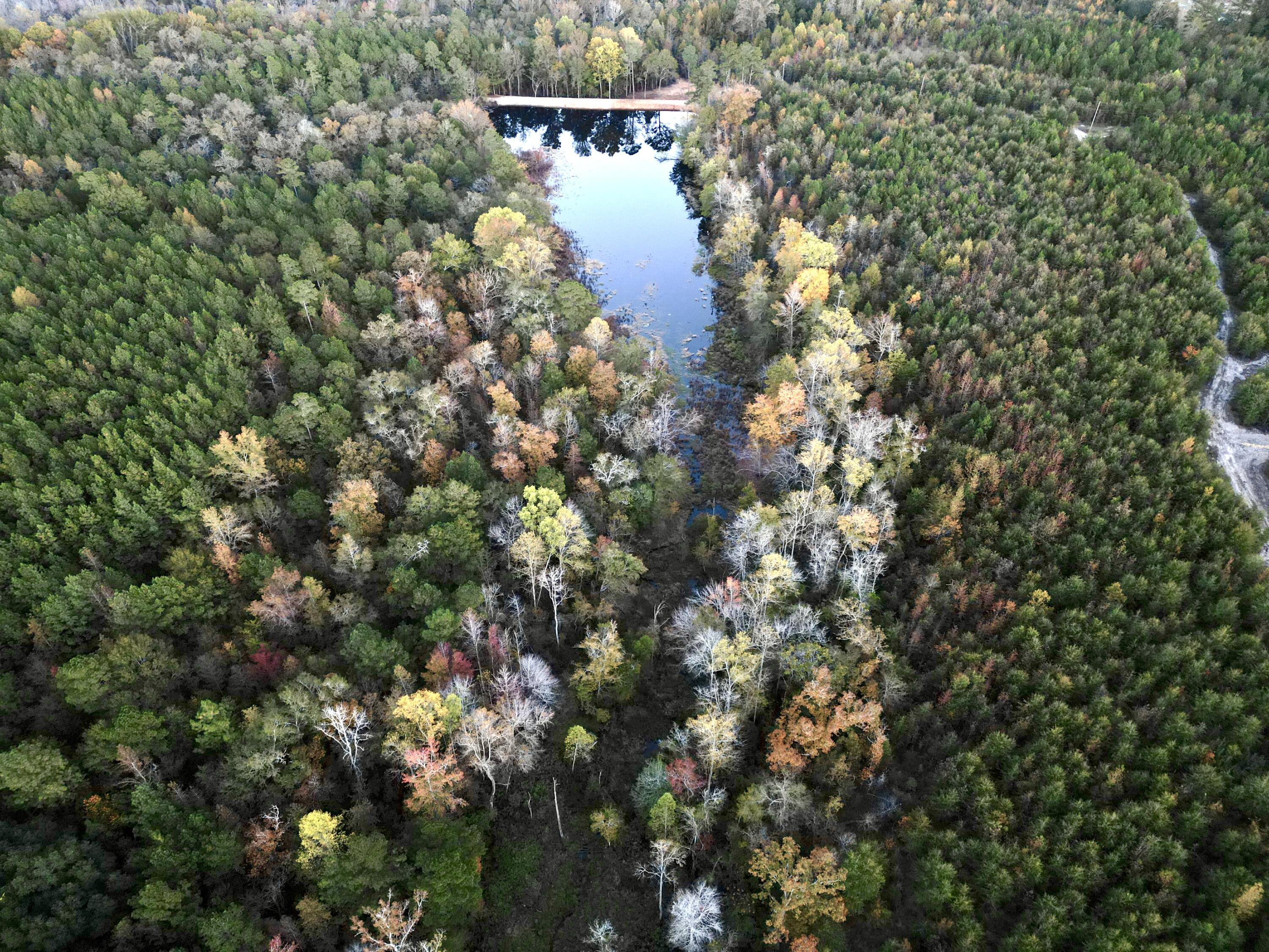 3021 Salley Road Salley, SC 29137 - Photo 93 of 100 dji_fly_20251103_174134_428_176226062333