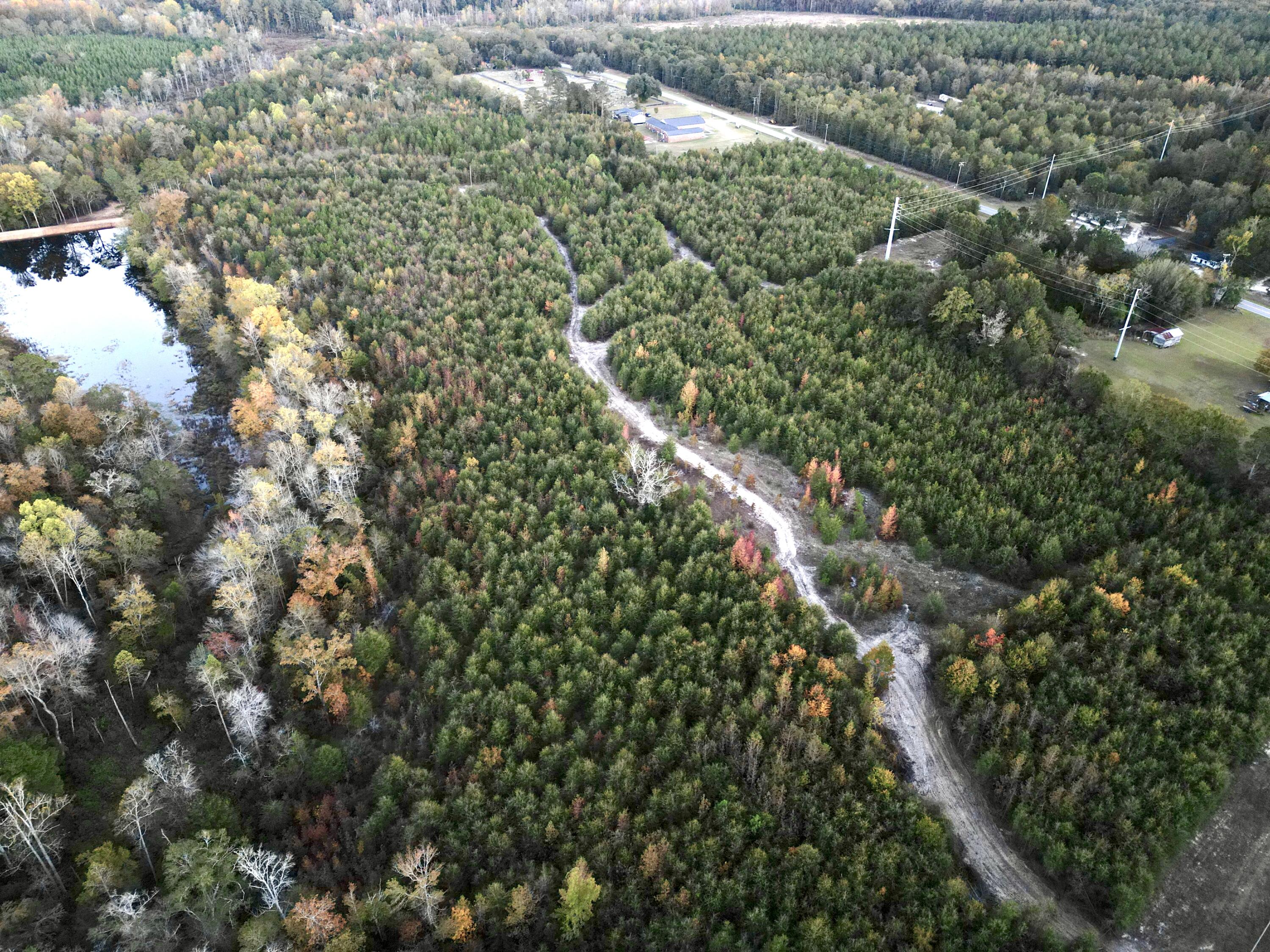 3021 Salley Road Salley, SC 29137 - Photo 95 of 100 dji_fly_20251103_174146_430_176226062706