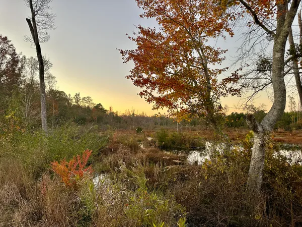 $915,000 | 3021 Salley Road, Salley, SC 29137