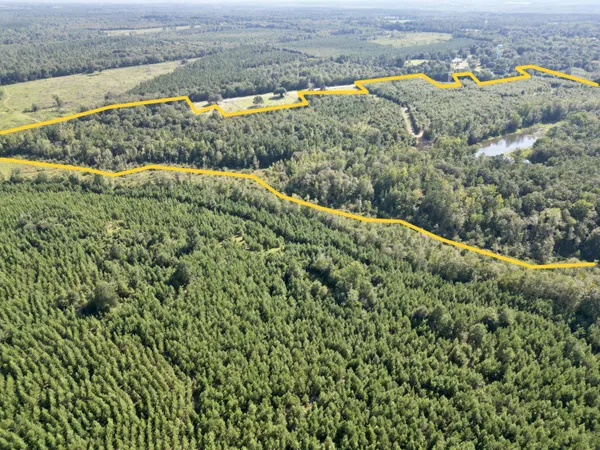 $915,000 | 3021 Salley Road, Salley, SC 29137