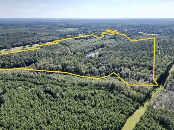 $915,000 | 3021 Salley Road, Salley, SC 29137