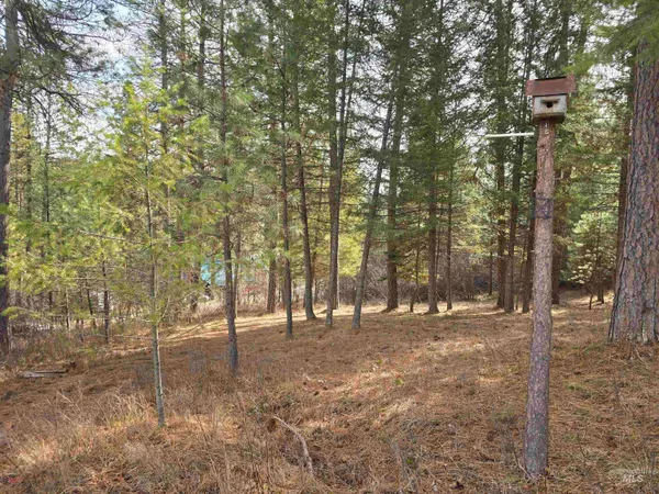 $110,200 | Tbd Ranch Road, Garden Valley, ID 83622