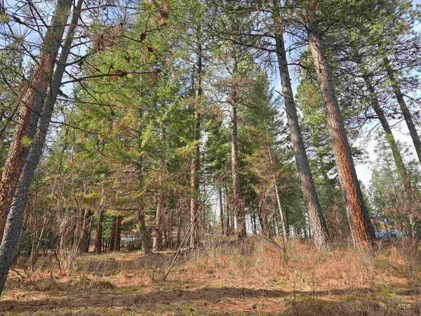 $110,200 | Tbd Ranch Road, Garden Valley, ID 83622