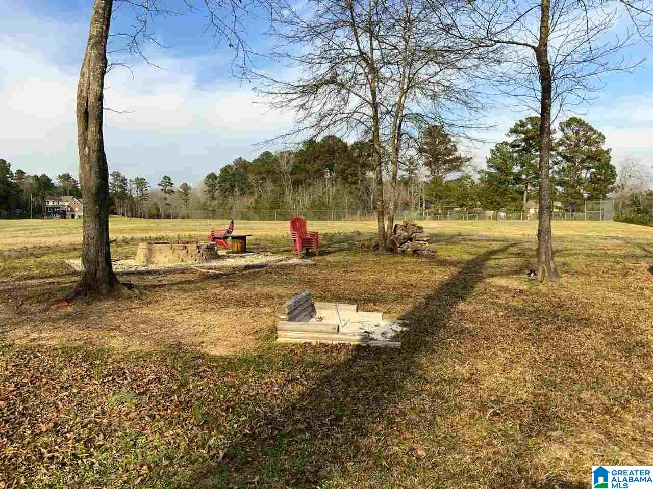 0 Blue Springs Road Lincoln, AL 35096 - Photo 5 of 22