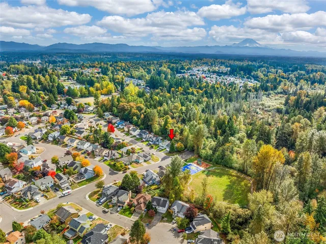 a view of a lot of flowers and trees