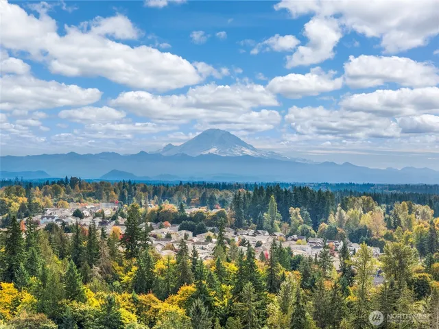 a view of a lake from a yard