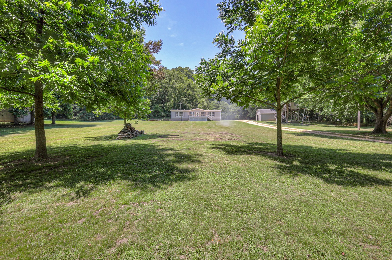 4002 Rippey Lake Road Mount Pleasant, TN 38474 - Photo 42 of 43 a view of a tree in a yard