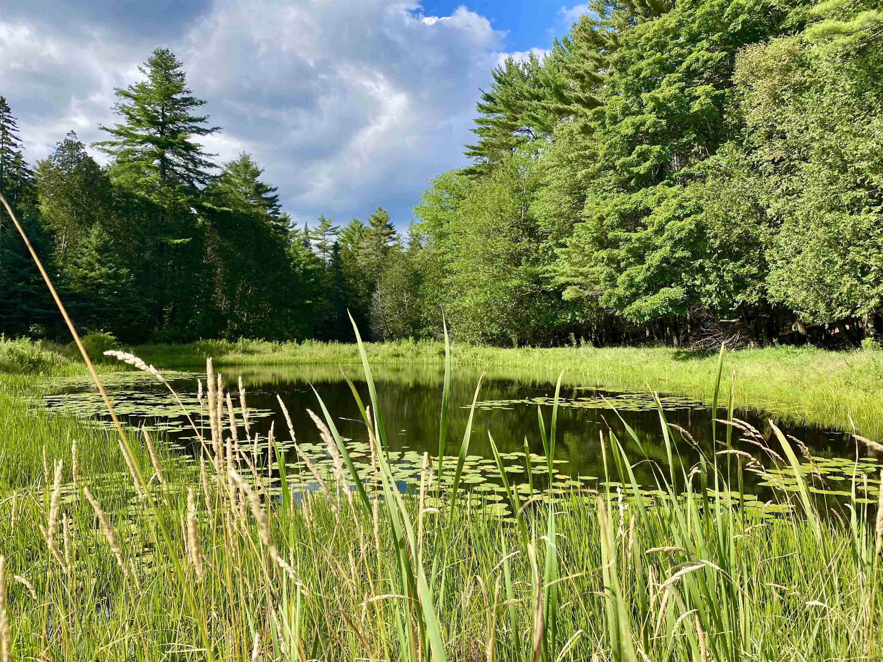 3443 N Road Newbury, VT 05051 - Photo 43 of 50