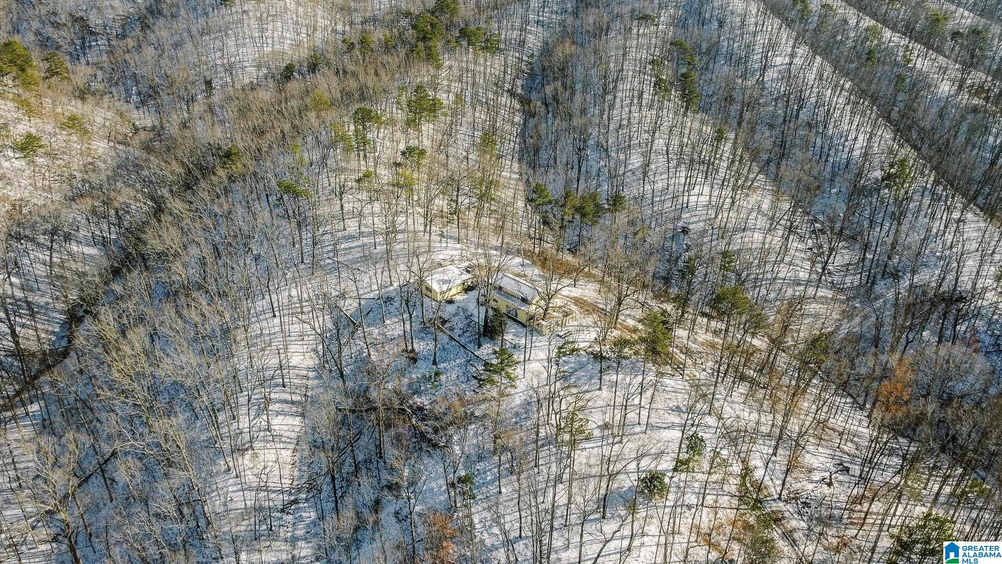 5325 Union T Road Talladega, AL 35160 - Photo 74 of 83