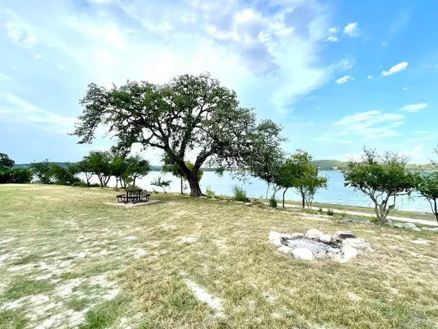 a view of a yard with a tree