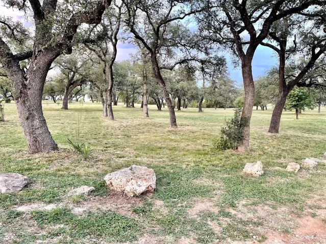 a view of a yard with trees