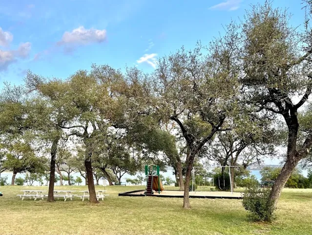 a view of a yard with trees