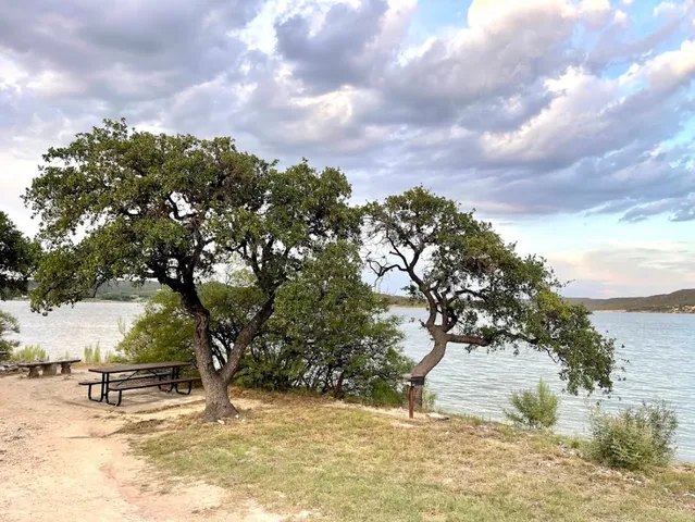 a view of a yard with a tree