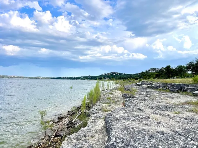 a view of a field with plants