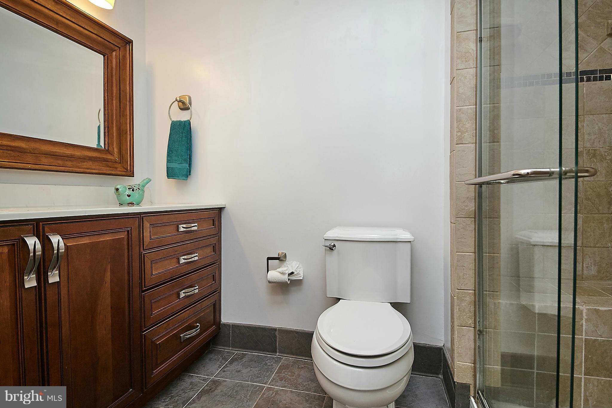 2017 Wethersfield Court Reston, VA 20191 - Photo 20 of 30 Master bath fully upgraded.