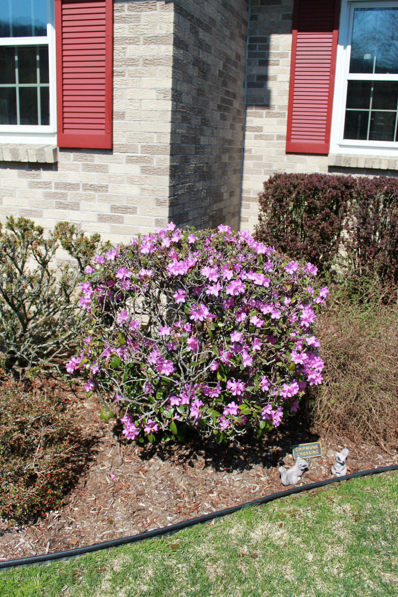 317 Albert Road Stroudsburg, PA 18360 - Photo 31 of 34 Landscaping