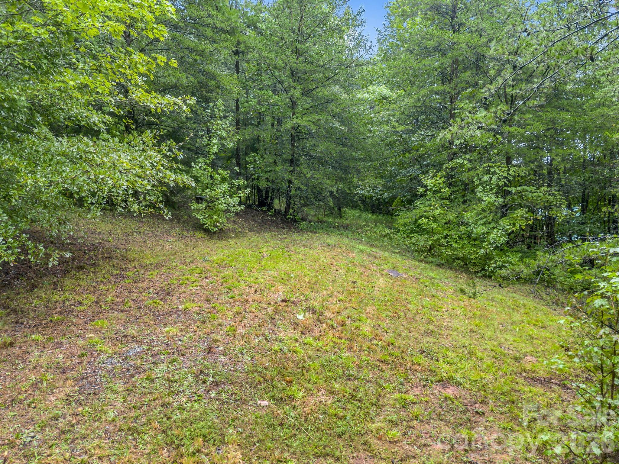 0 Observation Ridge Rutherfordton, NC 28139 - Photo 6 of 25 Gallery Image 6