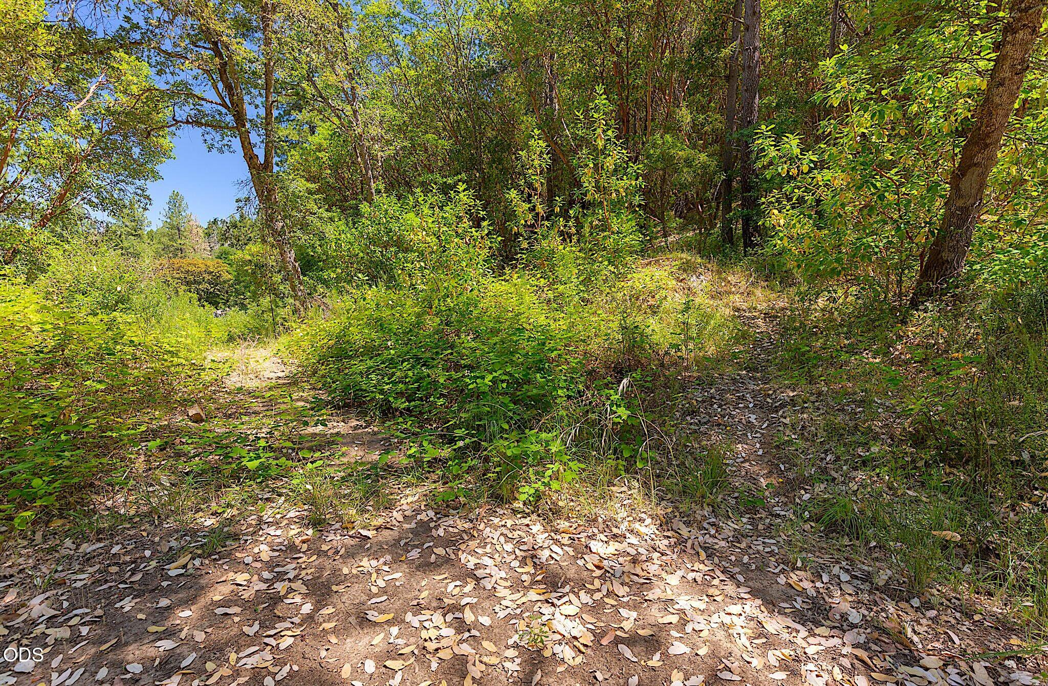 11230 Lower River Road Grants Pass, OR 97526 - Photo 25 of 29