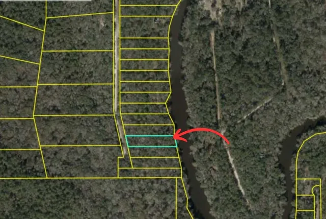 $49,000 | Lot 4 Northeast Madison Bluffs Way, Lee, FL 32059