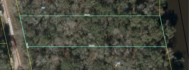 $49,000 | Lot 4 Northeast Madison Bluffs Way, Lee, FL 32059