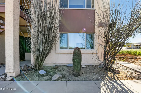 a front view of a house with trees and plants