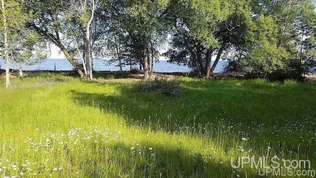 4188 South M35 Road Cornell, MI 49818 - Photo 3 of 4
