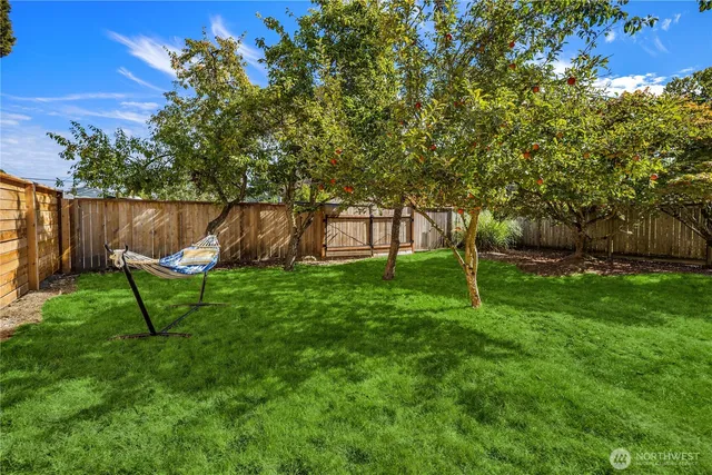 a view of a park with large trees