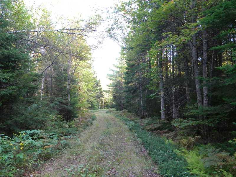 5 Board Eddy Road Lagrange, ME 04453 - Photo 4 of 6 Other.