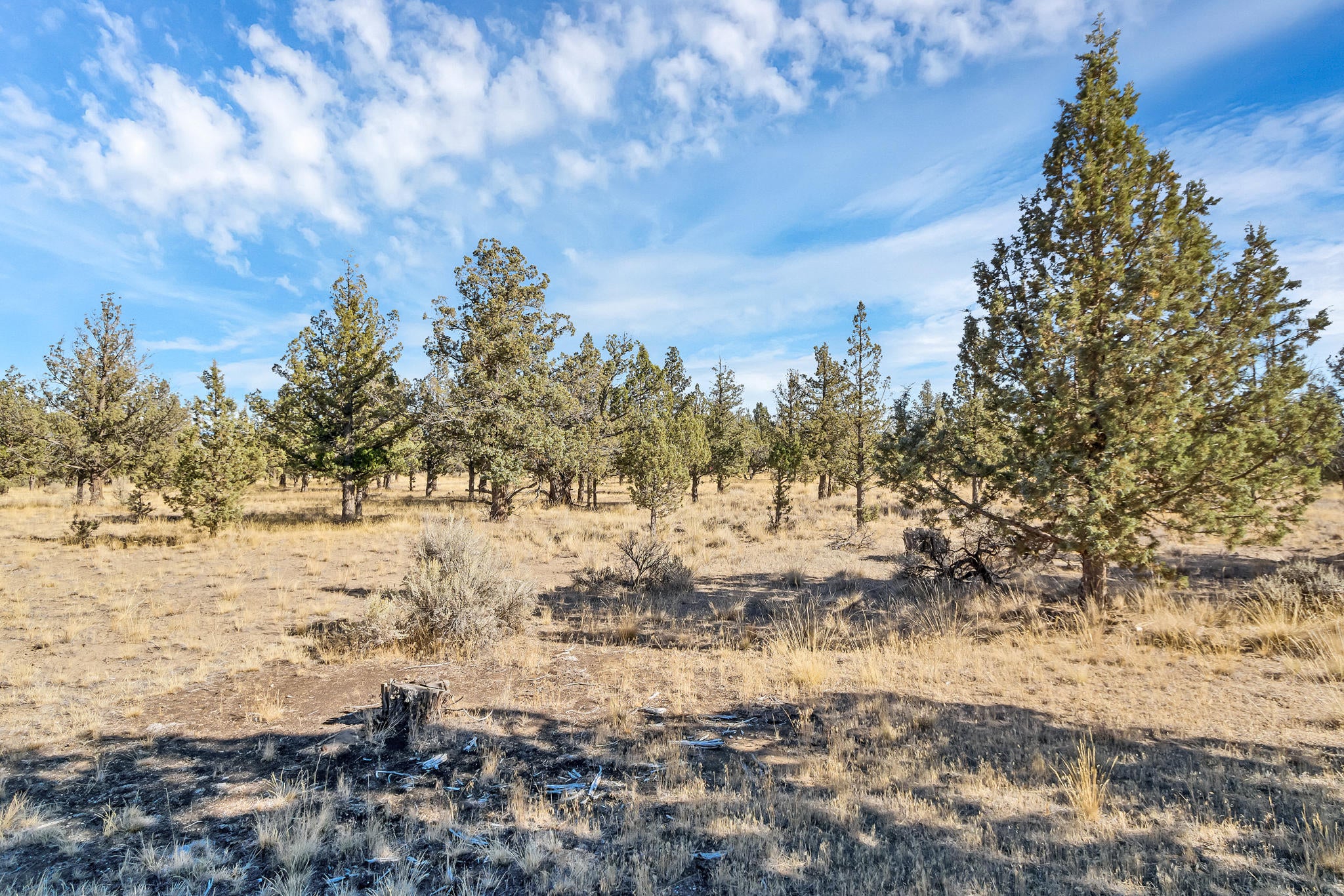 9644 Northwest Rocky Road Powell Butte, OR 97753 - Photo 14 of 31 DSC02179